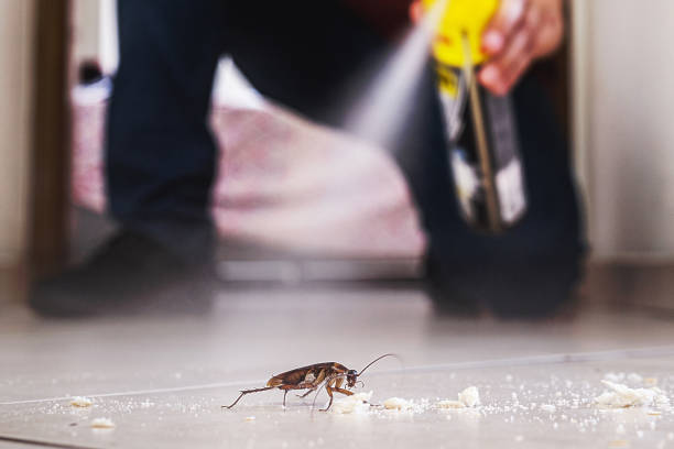 Best Best Pest Control Companies  in Whitney Point, NY